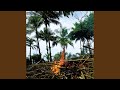 Metaphors: Selected Soundworks From The Cinema Of Apichatpong