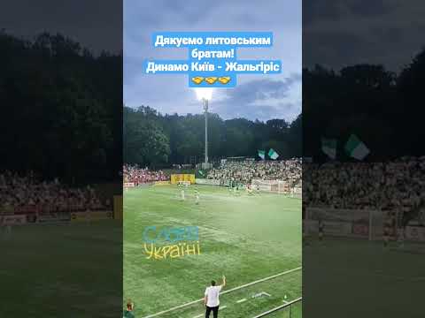 Видео: Динамо Київ - Жальгіріс 