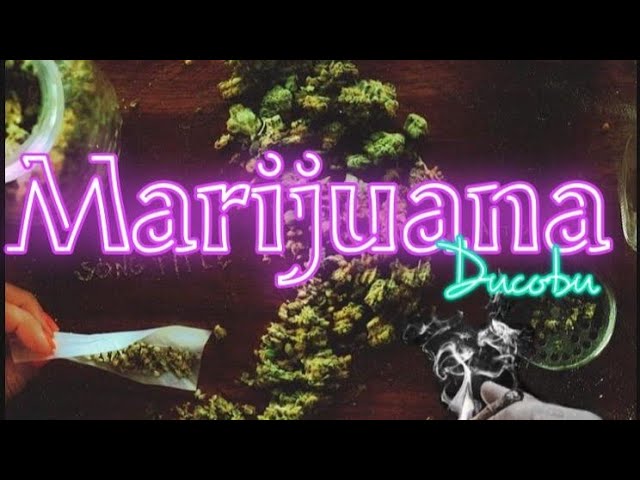 MARIJUANA - Ducobu (Official Audio)