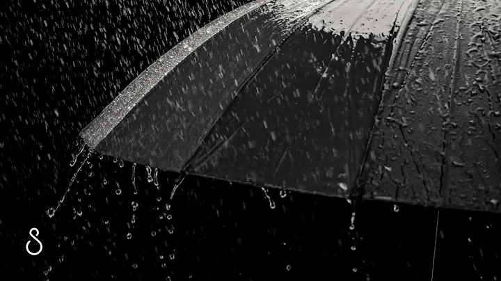 Rain On Umbrella | Black Screen | Relaxing ASMR Sounds For Sleep, Study, Meditation - DayDayNews