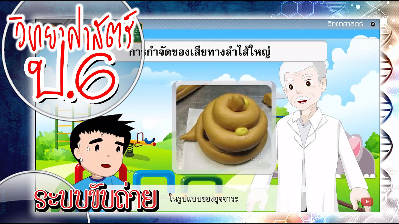 ระบบขับถ่าย ppt  Update New  ระบบขับถ่าย - วิทยาศาสตร์ ป.6