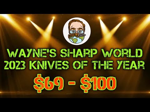 The BEST EDC knives of the year for $69 to $100!! Wayne’s Sharp World Knife of the Year Awards 2023