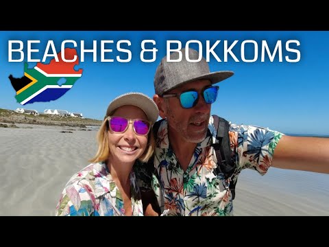 Video: De 7 beste tingene å gjøre på Sør-Afrikas Cape West Coast