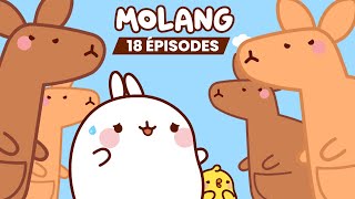 Molang et Piu Piu au Pays des Kangourous   | Dessin Animé pour Enfants