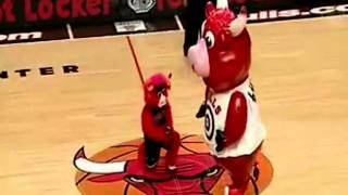 peleas de mascotas gracioso
