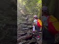 ハイキング娘 #hiking #japanesenature #山ガール #short