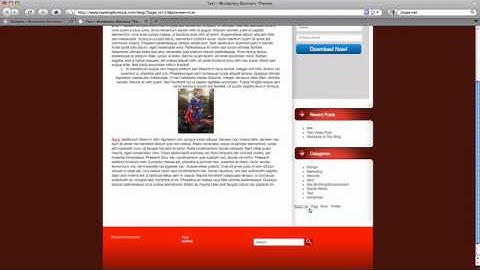 How to Work with WordPress Widgets by Top Blog Formula