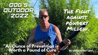 ODG’s Outdoor 2022 The Fight Against Powdery Mildew An Ounce of Prevention is Worth a Pound of Cure