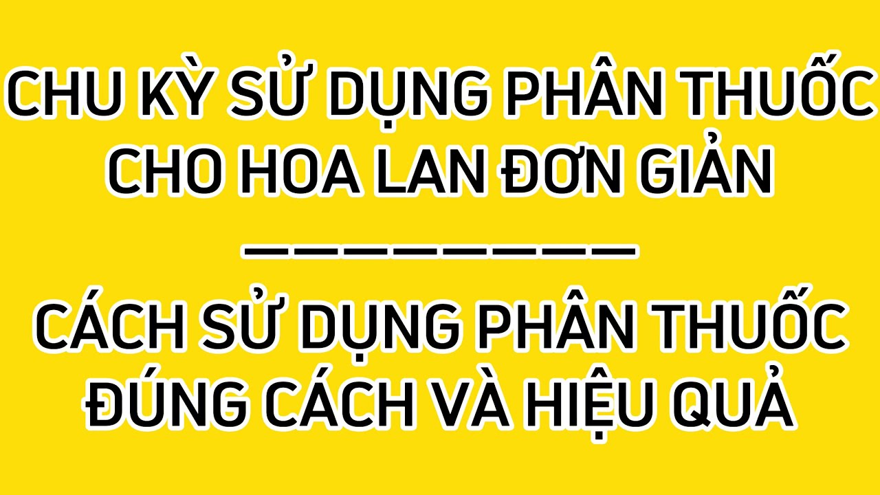 Sử dụng phân thuốc đúng cách, chu kỳ phân thuốc cho hoa lan đơn giản | hoa lan Trần Khương