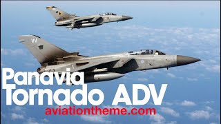 Panavia Tornado F3 - The Air Defense Variant ADV | Aviation Theme