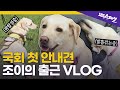 [슬기로운 견공생활 Ep.01] 국회 핵인싸🐶 안내견 '조이'의 일상 | SBS 스페셜