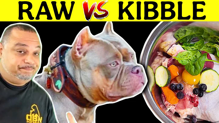 Homemade Dog Food KIBBLE vs RAW