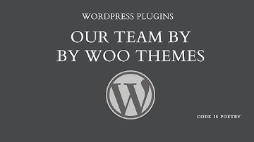 WordPress Plugins: Our Team by Woo Themes