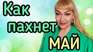 ПАРФЮМЕРНЫЙ МАЙ| ШЛЕЙФОВЫЕ СТОЙКИЕ АРОМАТЫ НА ВЕСНУ #парфюмерия #духи #ароматы #perfume #рек