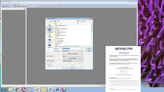 Document Scanning & Indexing