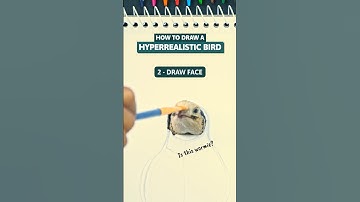 How To Draw A Hyperrealistic Bird 😉 #drawingtutorial #drawing #tutorial #art #howtodraw #stepbystep