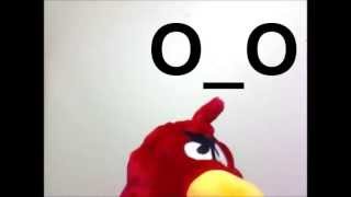 HARLEM SHAKE ANGRY BIRD EDITION