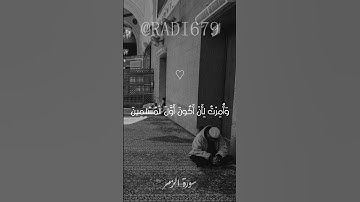 تلاوة مميزة من سورة الزمر بصوت ماهر المعيقلي #quran #قرآن #ماهر_المعيقلي  #shortvideo #foryou #تلاوة
