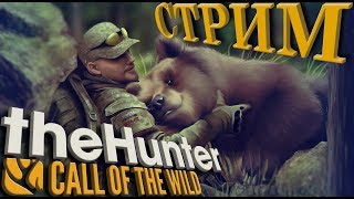 TheHunter: Call of the Wild (Делаем квесты в озерном крае)