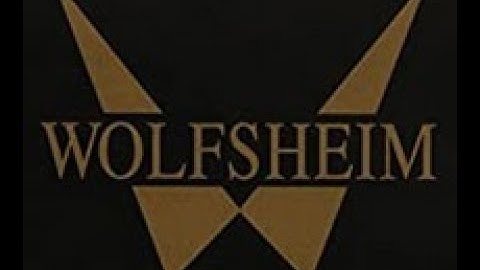 Wolfsheim   Once in a Lifetime subtitulada