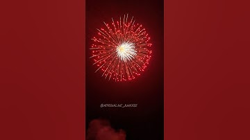 8” inch shell Blue to red stars with willow to white blinker ring and silver flower center 🔥 #pyro