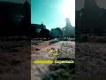 يطير شمااطرت مصيرك هم ترد طير