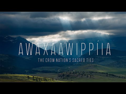 Awaxaawippíia: The Crow Nation’s Sacred Ties