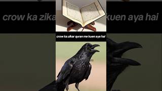 Crow Ka Zikar Quran Me kuen Aya Hai #facts #viralshort #islamicvideo