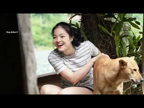 Talented 18 Year Old Girl Installs Solar Lights On An Couple Perfect 