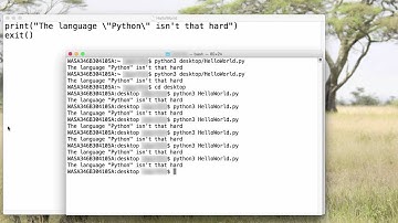 Python: Using Quotes within Strings