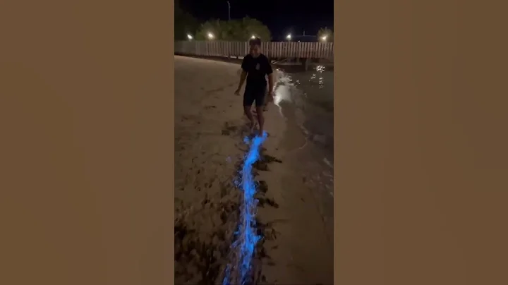 #nature #travel #trending #explore #adventure #viralshorts #fyp #youtubeshorts