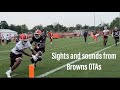 Sights and sounds from Browns OTAs: June 5, 2024