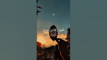 فاستجبنا له #راحة_نفسية #قرآن #القرآن_الكريم #ارح_قلبك #تلاوة_خاشعة #quran #quranictranslation #لايك
