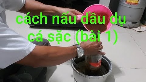 mồi dụ cá sặc rằn ( bài 1)