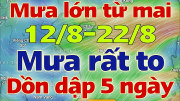 Dự báo thời tiết hôm nay và ngày mai 13/8/2025 | dự báo bão mới nhất | thời tiết 3 ngày tới
