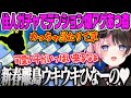 【橘ひなの】新春離島ガチャで当たりの住人を引いてテンション爆アゲでウキウキになるひなーの【あつまれどうぶつの森、あつ森、ぶいすぽっ!】