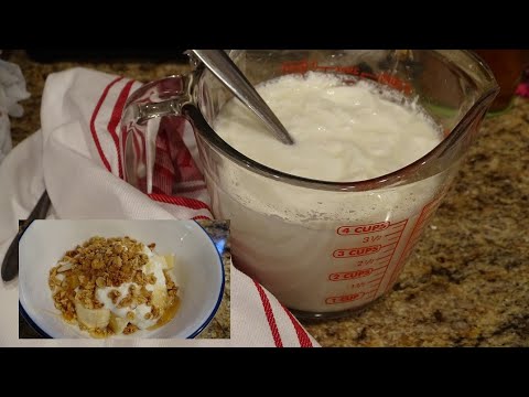 How To Make Homemade Yogurt With 2 Milk