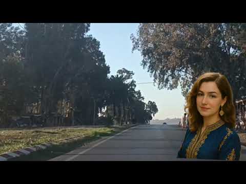 حمو و قناع البرائة بقاو فيه الكلاب و ولادو خلاهم يتشواو فصهودات