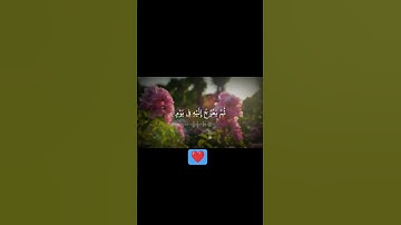 (يُدَبِّرُ الْأَمْرَ مِنَ السَّمَاءِ إِلَى الْأَرْضِ)القارئ إسلام صبحي