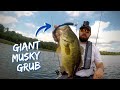 Unusual Tactic To Catch Stubborn Summer Bass