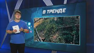 Легендарная бригада «Азов» всыпала российским оккупантам | В ТРЕНДЕ