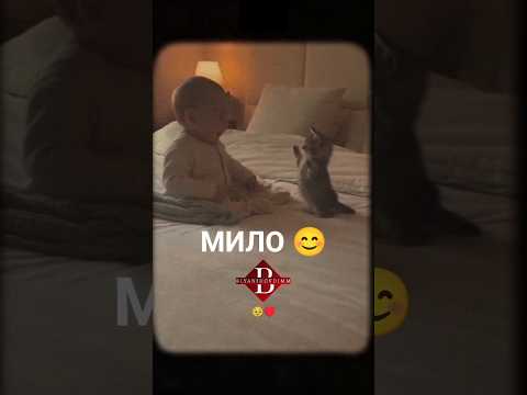 МИЛО #ребенок #котик #мир #любовь #shorts