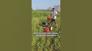 Máy cắt cỏ trục băm chuyên nghiệp chạy xăng #nông_nghiệp #automobile