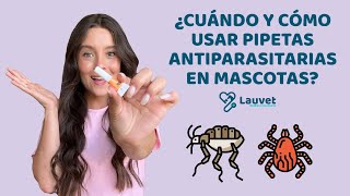 PIPETAS ANTIPARASITARIAS EN MASCOTAS ¿Cuándo usarlas y cómo aplicarlas?  Lauvet