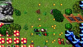 Tibia Oxy Unit x Paradise Derrotados