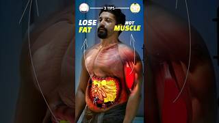 Lose Fat Without Losing Muscle (3 tips)
