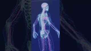 👉 Suas Veias Mudam De Tamanho Agora #humanowiki #fatoscuriosos #curiosidades #biologia #viral