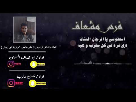 فرس مشعاف اداء المنشدين ابو هذال السيفي و شبل مأرب كلمات الشاعر والمهندس علي منصور بن ناجي نمران