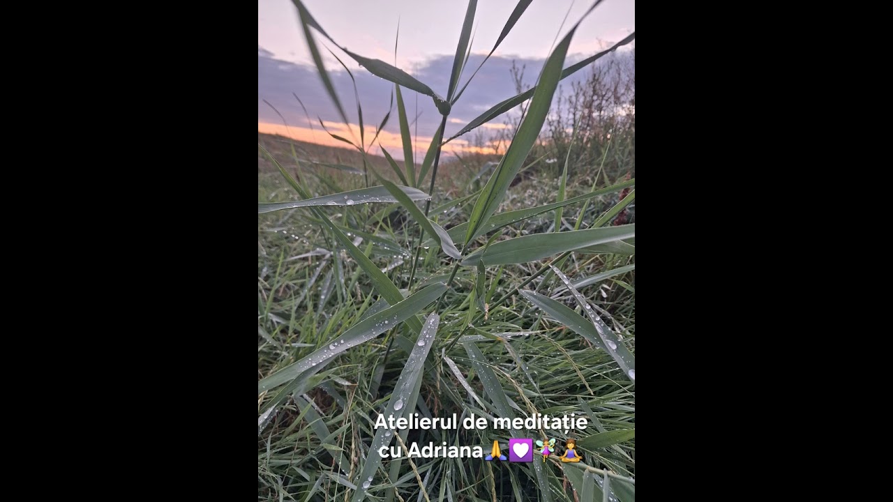 Reîntoarce-te la tine -  practică meditativă - Atelierul de meditație cu Adriana 💟🙏🧚‍♀️🧘‍♀️
