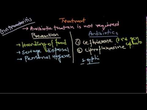 Salmonella treatment